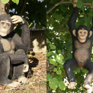 Statue Chimpanzé