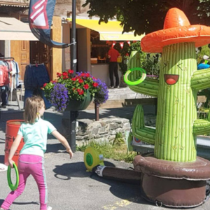 Lancer d’anneaux Cactus