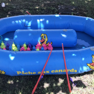 Pêche aux canards