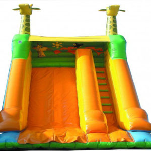 Toboggan Girafe