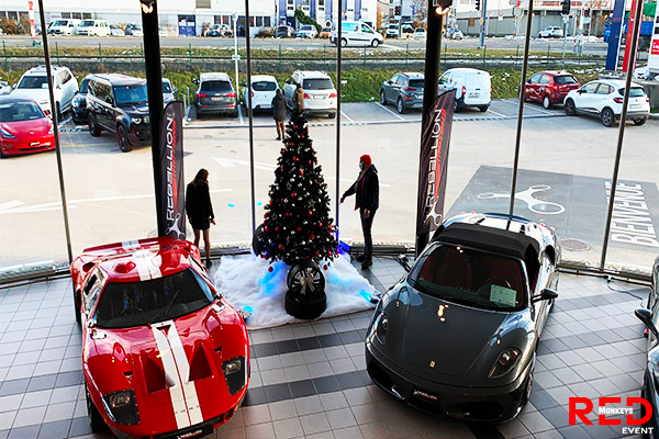 De╠ücoration-Noe╠êl-garage