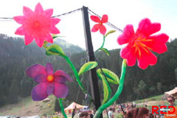 Location-fleurs-gonflables