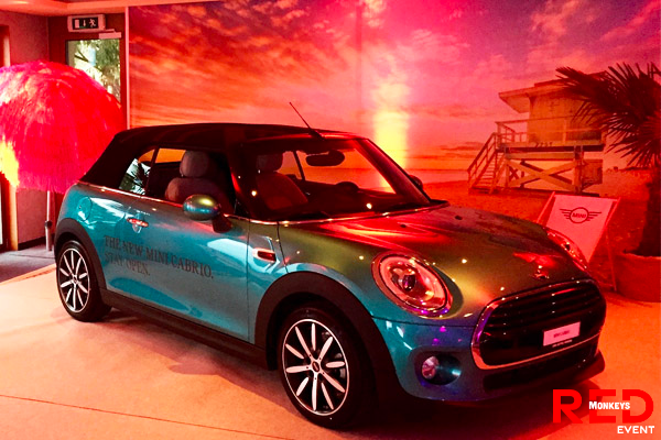 Mini-Cabrio-garage-jan-red-monkeys-4