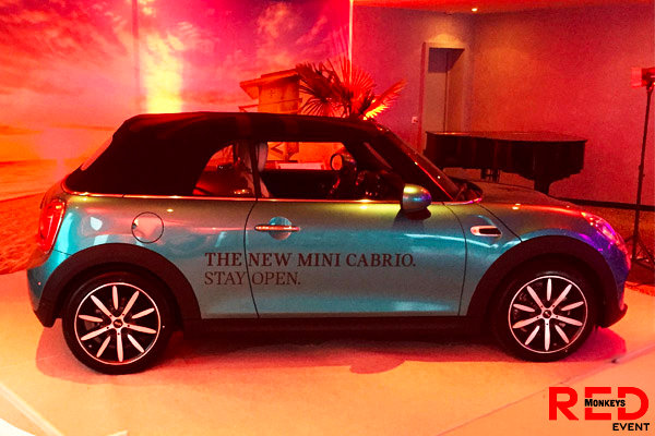 Mini-Cabrio-garage-jan-red-monkeys-6